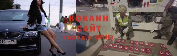 ECSTASY Новозыбков