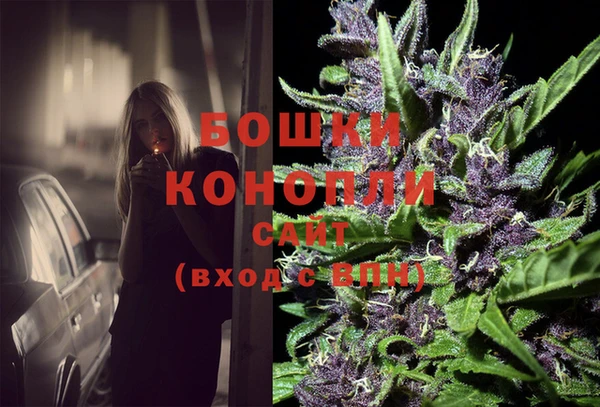 ECSTASY Новозыбков