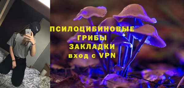 ECSTASY Новозыбков