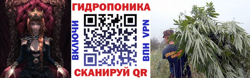 это какой сайт  Киренск  Шишки марихуана THC 21% 